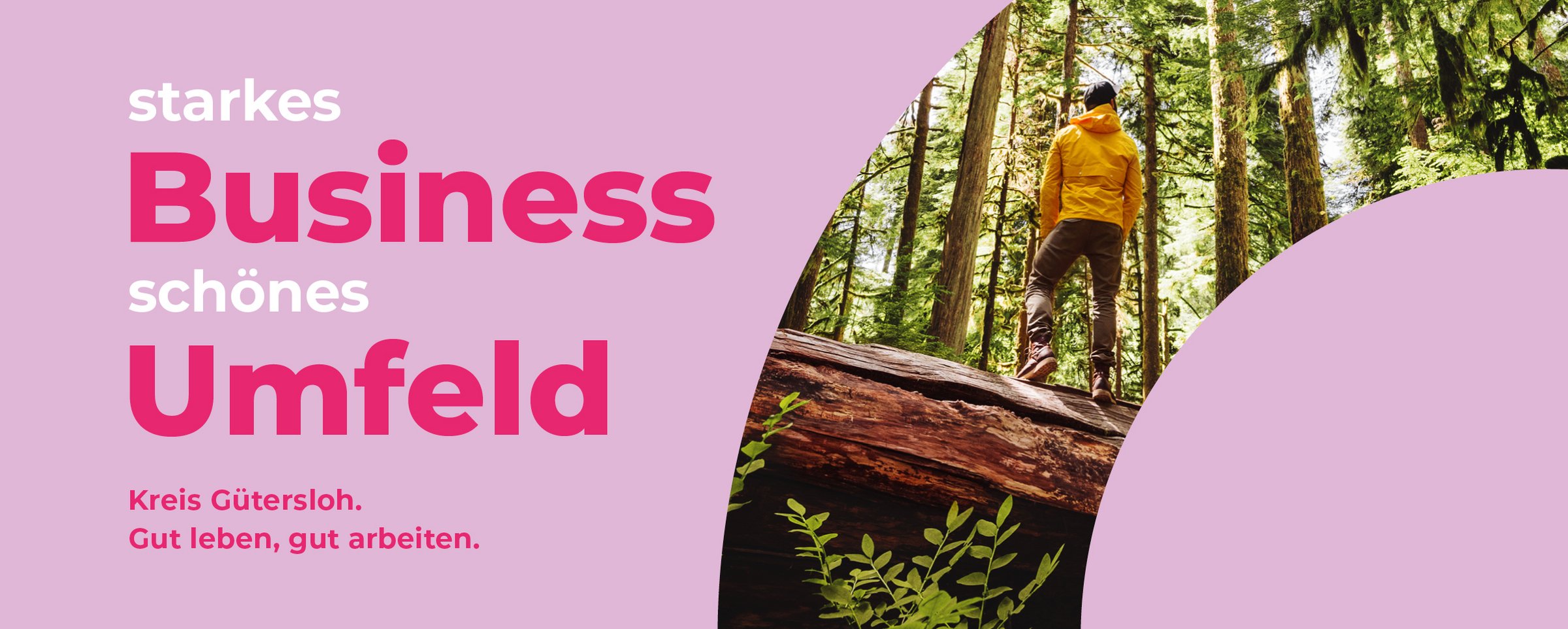 BusinessUmfeld2 BusinessUmfeld2