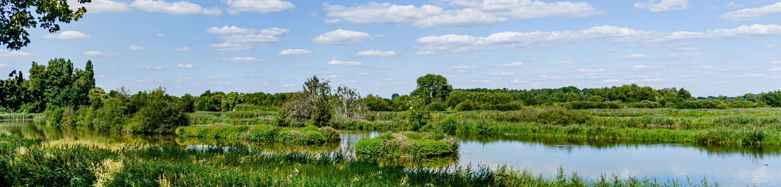 Slide_Rietberg Slide_Rietberg